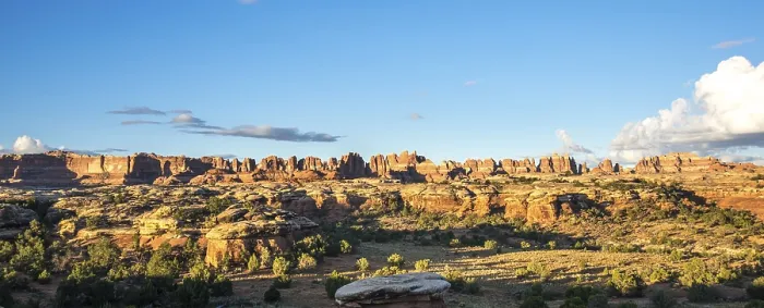Gerahmter Druck : Felsnadeln, Felsenformationen The Needles District Gerahmter Druck : Felsnadeln, Felsenformationen The Needles District