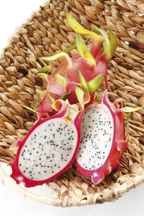 Gerahmter Druck : Pitahaya Gerahmter Druck : Pitahaya