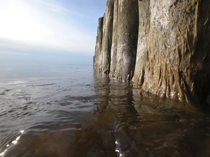 Gerahmter Druck : Planken im Wasser. Gerahmter Druck : Planken im Wasser.