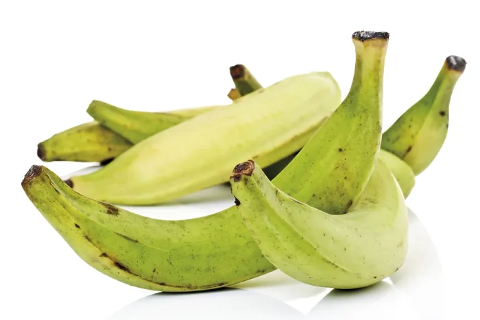 Gerahmter Druck : Plantains Gerahmter Druck : Plantains