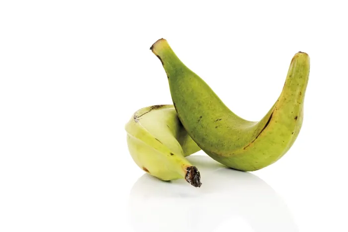 Gerahmter Druck : Plantains Gerahmter Druck : Plantains