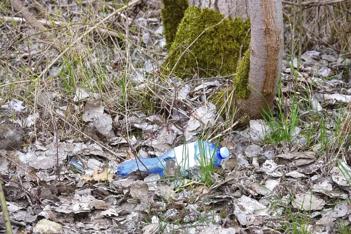 Gerahmter Druck : Plastikmüll in einem deutschen Wald Gerahmter Druck : Plastikmüll in einem deutschen Wald