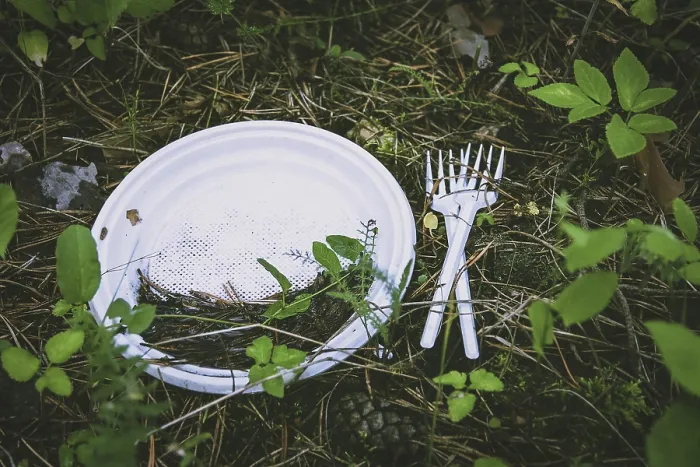 Gerahmter Druck : Plastikmüll auf dem Boden im Wald. Gerahmter Druck : Plastikmüll auf dem Boden im Wald.