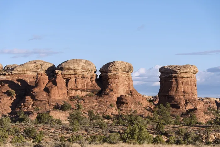 Gerahmter Druck : Plateau, Felsformationen The Needles District Gerahmter Druck : Plateau, Felsformationen The Needles District