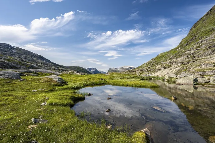 Gerahmter Druck : Plateau mit kleinen Seen und Mooren. Gerahmter Druck : Plateau mit kleinen Seen und Mooren.