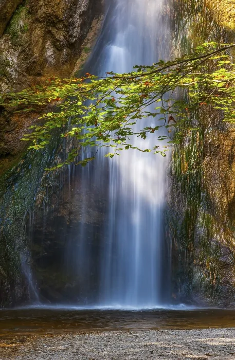 Gerahmter Druck : Plotz-Wasserfall, Naturdenkmal. Gerahmter Druck : Plotz-Wasserfall, Naturdenkmal.