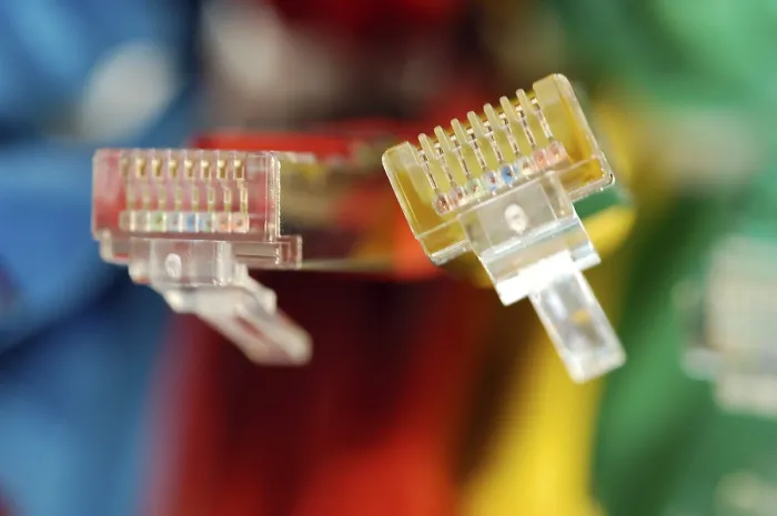 Gerahmter Druck : Zwei Stecker eines farbigen Netzwerkkabels für Computer. Gerahmter Druck : Zwei Stecker eines farbigen Netzwerkkabels für Computer.