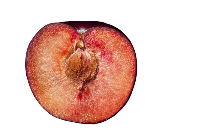 Gerahmter Druck : Plum Gerahmter Druck : Plum