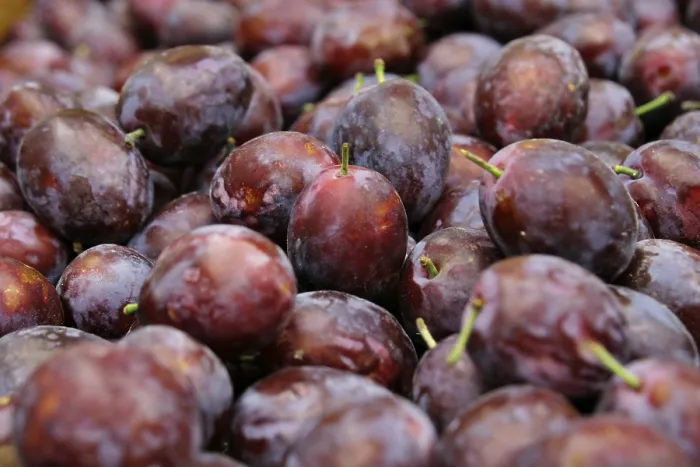 Gerahmter Druck : Plum Gerahmter Druck : Plum