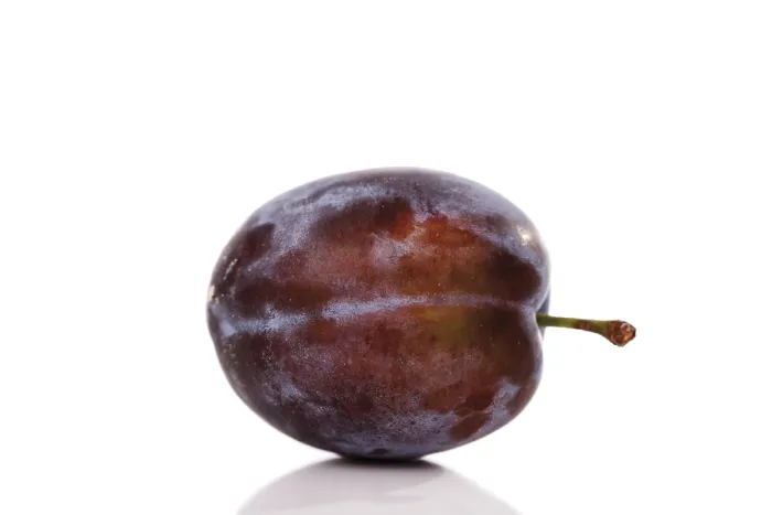Gerahmter Druck : Plum Gerahmter Druck : Plum