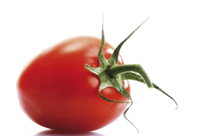 Gerahmter Druck : Plumtomate Gerahmter Druck : Plumtomate