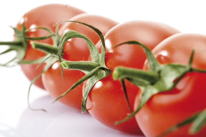 Gerahmter Druck : Pflaumtomaten Gerahmter Druck : Pflaumtomaten