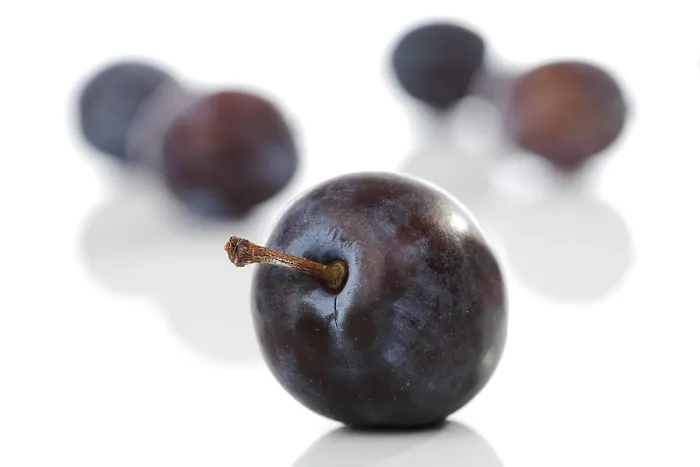 Gerahmter Druck : Plums Gerahmter Druck : Plums