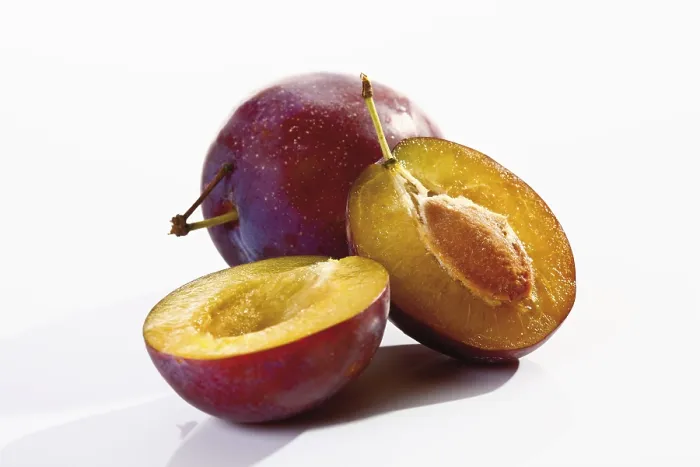Gerahmter Druck : Plums Gerahmter Druck : Plums