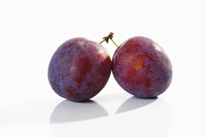 Gerahmter Druck : Plums Gerahmter Druck : Plums