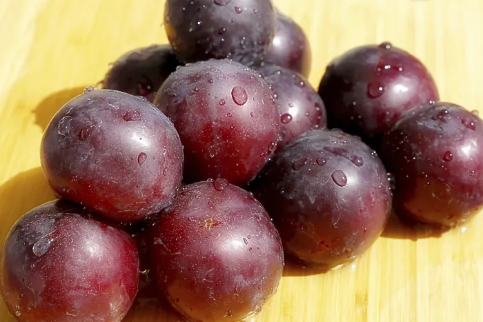 Gerahmter Druck : Pflaumen, Damsons Gerahmter Druck : Pflaumen, Damsons