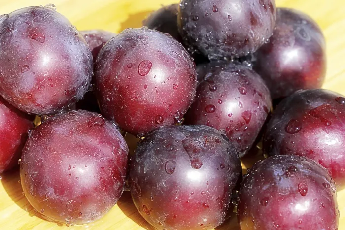Gerahmter Druck : Pflaumen, Schlehen Gerahmter Druck : Pflaumen, Schlehen