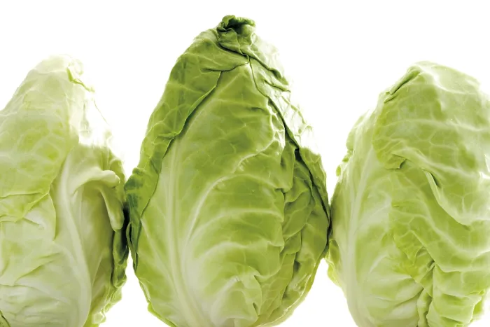 Gerahmter Druck : Gekrümmte Kohl, drei Köpfe. Gerahmter Druck : Gekrümmte Kohl, drei Köpfe.