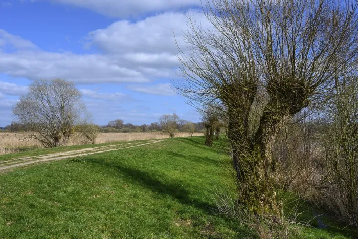 Gerahmter Druck : Gepflegte Weiden am Ufer von Lake Dummer. Gerahmter Druck : Gepflegte Weiden am Ufer von Lake Dummer.
