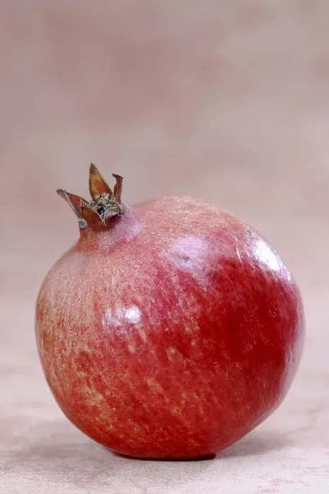 Gerahmter Druck : Pomegranate Gerahmter Druck : Pomegranate