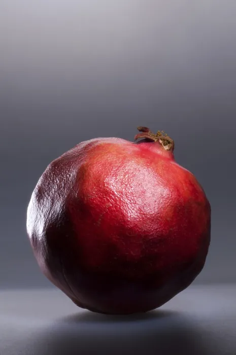 Gerahmter Druck : Pomegranate Gerahmter Druck : Pomegranate