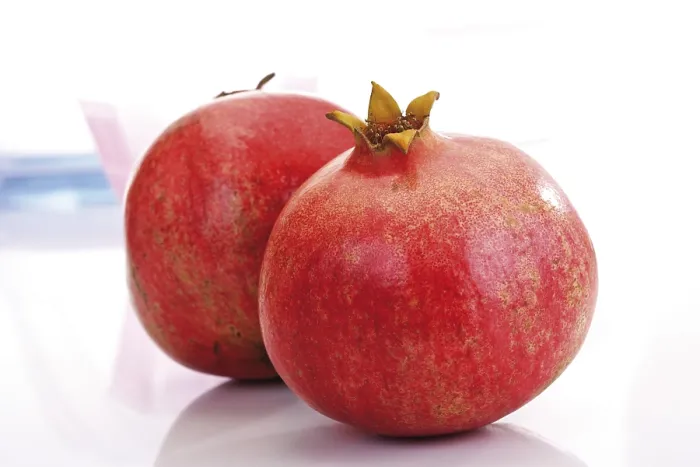 Gerahmter Druck : Pomegranates Gerahmter Druck : Pomegranates