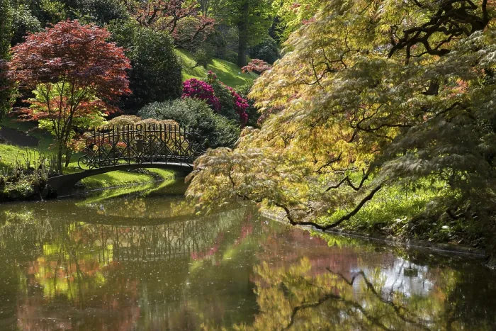 Gerahmter Druck : Teich mit Brücke im Park, Frühling. Gerahmter Druck : Teich mit Brücke im Park, Frühling.