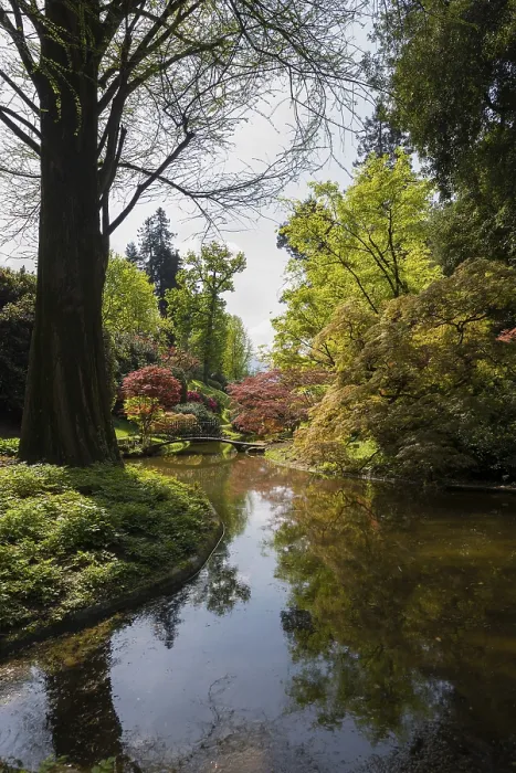 Gerahmter Druck : Teich mit Brücke im Park, Frühling. Gerahmter Druck : Teich mit Brücke im Park, Frühling.