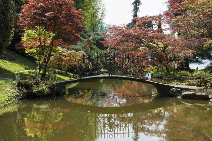Gerahmter Druck : Teich mit Brücke im Park, Frühling. Gerahmter Druck : Teich mit Brücke im Park, Frühling.