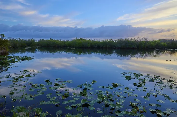 Gerahmter Druck : Ein Teich mit Wolkenreflexen und Abendstimmung. Gerahmter Druck : Ein Teich mit Wolkenreflexen und Abendstimmung.