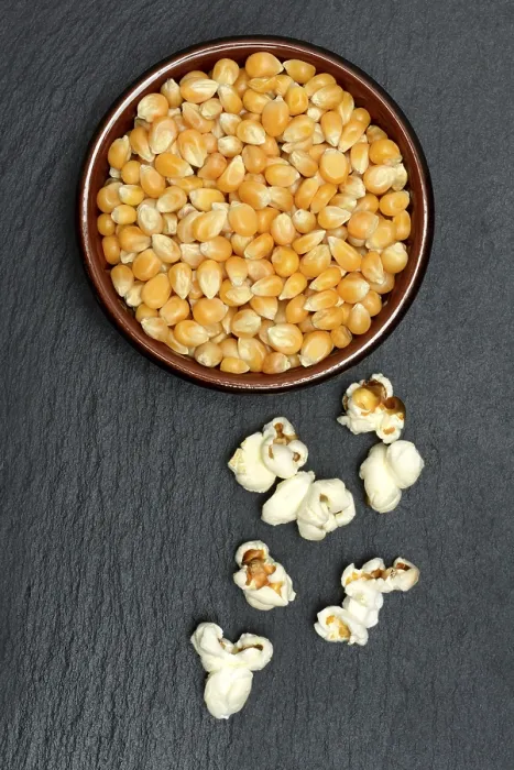 Gerahmter Druck : Popcorn und Maiskörner (Zea mays) Gerahmter Druck : Popcorn und Maiskörner (Zea mays)