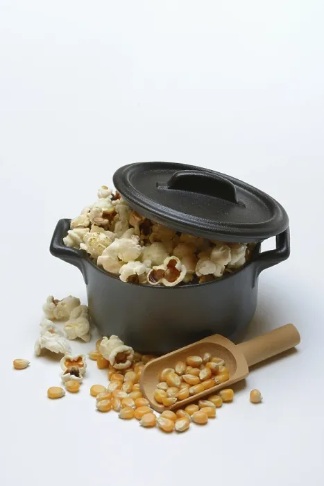 Gerahmter Druck : Popcorn (Zea mays) in Topf und Maiskörner. Gerahmter Druck : Popcorn (Zea mays) in Topf und Maiskörner.