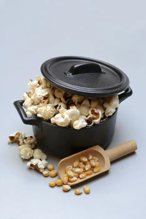 Gerahmter Druck : Popcorn (Zea mays) in Topf und Maiskörner. Gerahmter Druck : Popcorn (Zea mays) in Topf und Maiskörner.