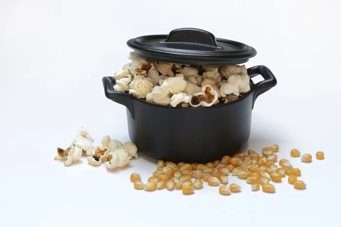 Gerahmter Druck : Popcorn (Zea mays) in Topf und Maiskörner. Gerahmter Druck : Popcorn (Zea mays) in Topf und Maiskörner.