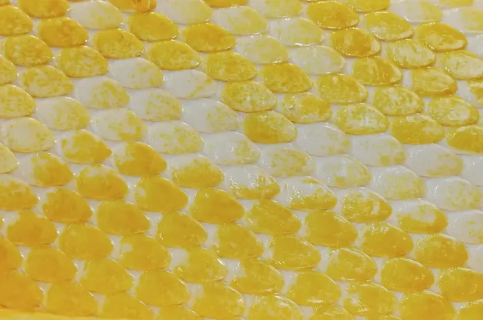 Gerahmter Druck : Detail, Details, Abschnitt, Abschnitte, detaillierter Bildausschnitt, Nahansicht, Close-up, Close-ups, Closeups ,Close-up-Schuss ,Nahansicht ,Schlussfolgerung ,verlassene Ort keine Menschen Niemand unbewohnt leere Albino Albinos Maßstab Scales Gerahmter Druck : Detail, Details, Abschnitt, Abschnitte, detaillierter Bildausschnitt, Nahansicht, Close-up, Close-ups, Closeups ,Close-up-Schuss ,Nahansicht ,Schlussfolgerung ,verlassene Ort keine Menschen Niemand unbewohnt leere Albino Albinos Maßstab Scales