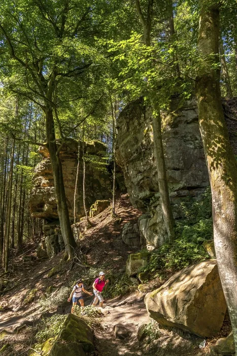 Gerahmter Druck : Weg zum Teufelsloch Gerahmter Druck : Weg zum Teufelsloch