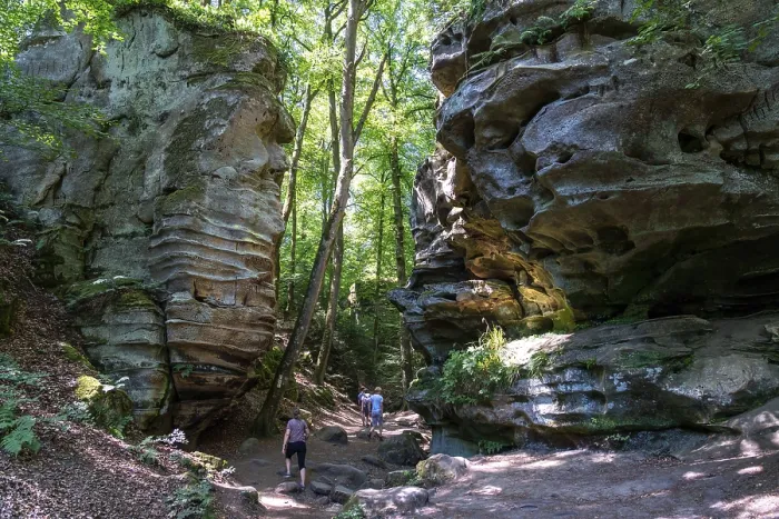 Gerahmter Druck : Der Weg zum Teufelsloch. Gerahmter Druck : Der Weg zum Teufelsloch.