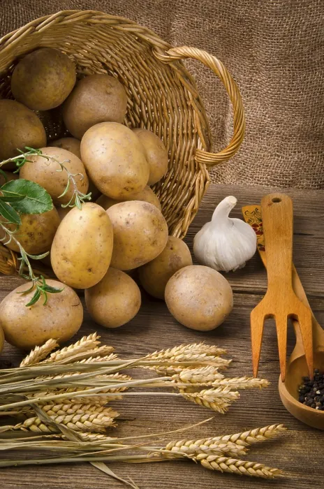 Gerahmter Druck : Potato Gerahmter Druck : Potato