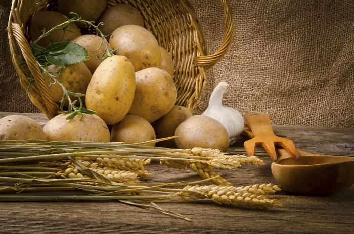 Gerahmter Druck : Potatoes Gerahmter Druck : Potatoes