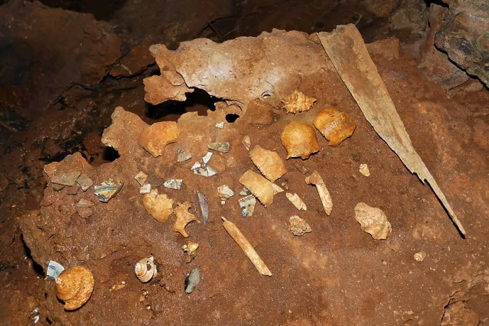 Gerahmter Druck : Urmenschliche Knochenreste. Gerahmter Druck : Urmenschliche Knochenreste.