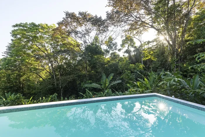 Gerahmter Druck : Privates turkoisfarbenes Pool in der Dschungel, Sonnenstrahlen durch Bäume, Reflexionen im Wasser Gerahmter Druck : Privates turkoisfarbenes Pool in der Dschungel, Sonnenstrahlen durch Bäume, Reflexionen im Wasser
