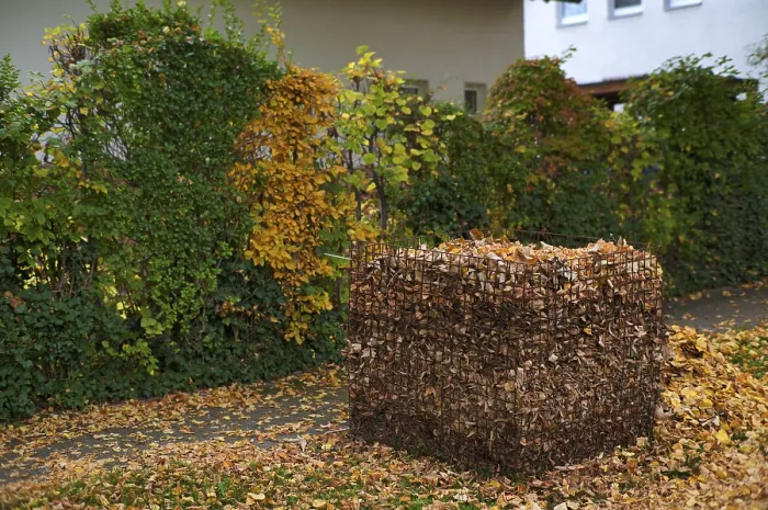 Gerahmter Druck : Öffentliche Sammelbehälter, Blattkorb. Gerahmter Druck : Öffentliche Sammelbehälter, Blattkorb.