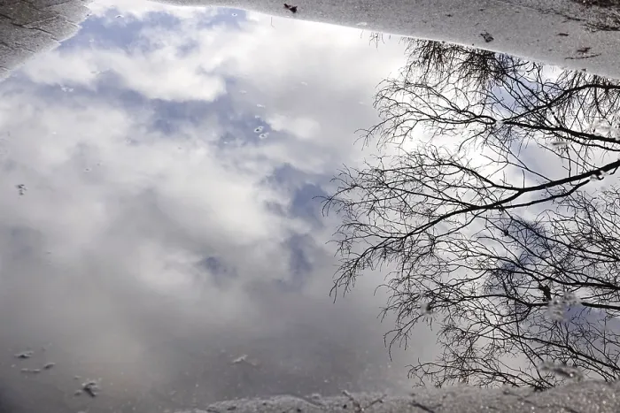 Gerahmter Druck : Schlamm mit Reflexion, Winter, Deutschland. Gerahmter Druck : Schlamm mit Reflexion, Winter, Deutschland.