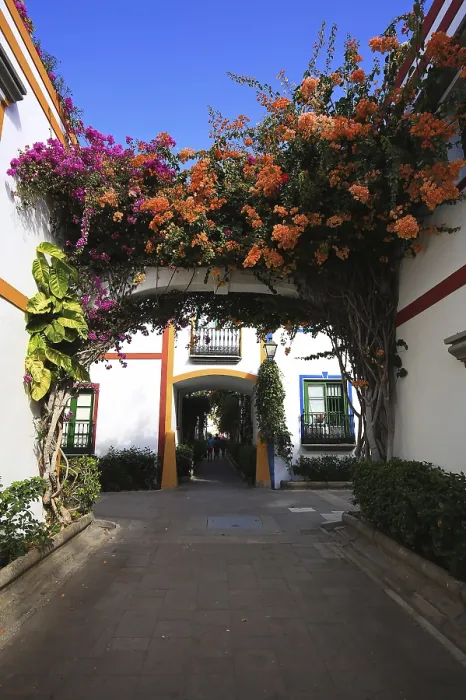 Gerahmter Druck : Puerto de Mogan Gerahmter Druck : Puerto de Mogan