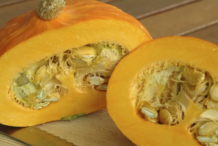Gerahmter Druck : Pumkin Gerahmter Druck : Pumkin