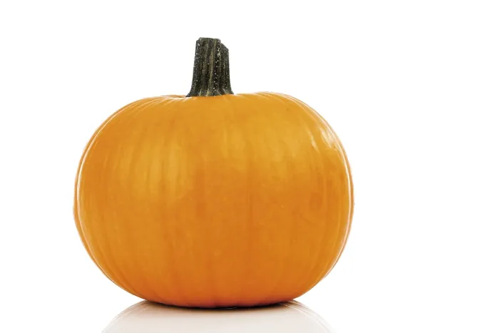 Gerahmter Druck : Pumpkin Gerahmter Druck : Pumpkin