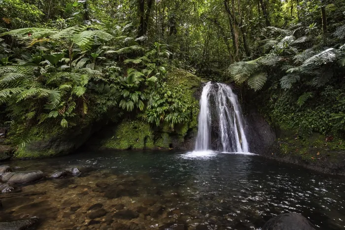 Gerahmter Druck : Reine Natur, ein Wasserfall mit einem Pool im Wald. Gerahmter Druck : Reine Natur, ein Wasserfall mit einem Pool im Wald.