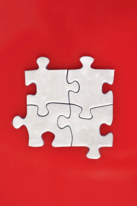 Gerahmter Druck : Puzzlestücke Gerahmter Druck : Puzzlestücke