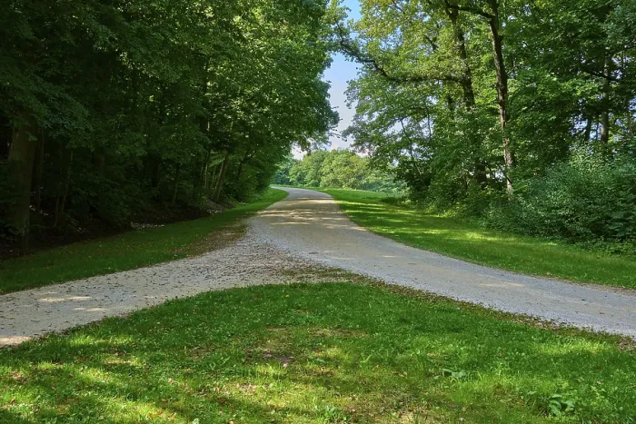 Gerahmter Druck : Ein stiller Waldweg mit einer Gabelung im Weg, umgeben von grünen Bäumen und weichem Licht. Gerahmter Druck : Ein stiller Waldweg mit einer Gabelung im Weg, umgeben von grünen Bäumen und weichem Licht.