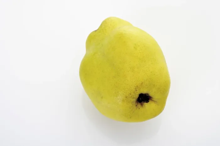 Gerahmter Druck : Quince Gerahmter Druck : Quince